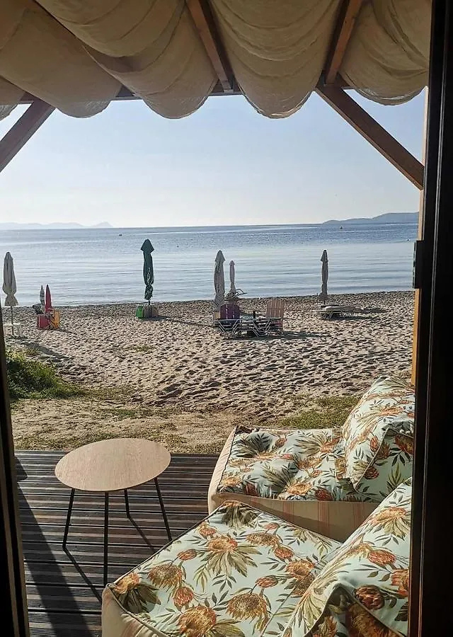 On The Beach Paliouri 0*,